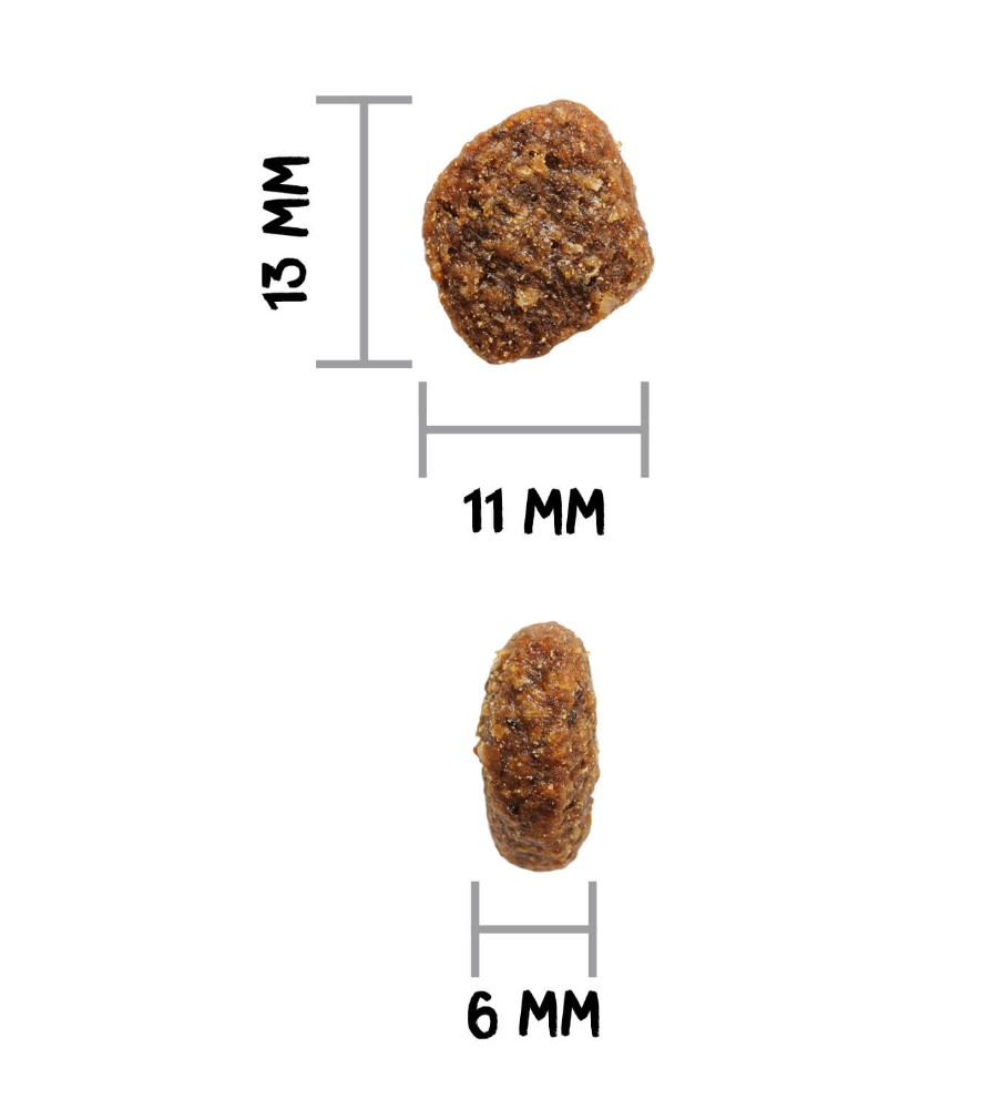 OWNAT AUTHOR GF ROOSTER DOG