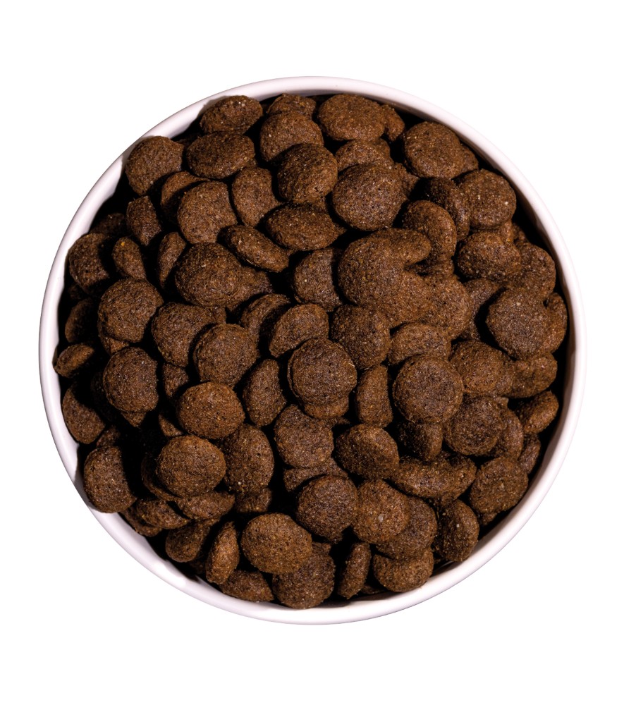 OWNAT CLASSIC DUCK (DOG) 