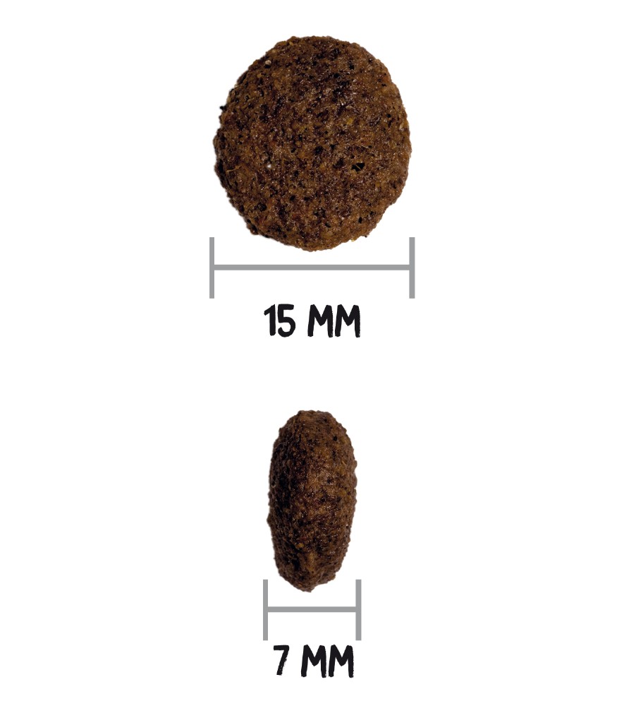 OWNAT CLASSIC DUCK (DOG) 