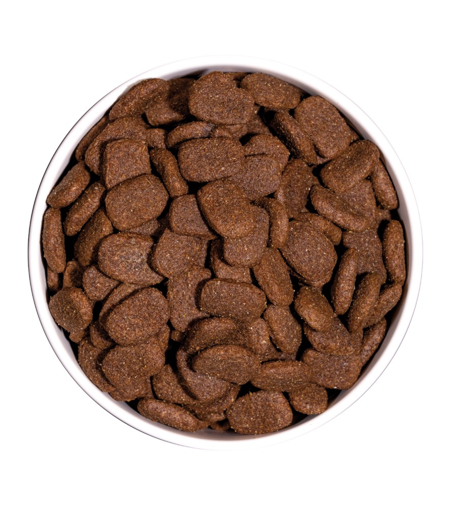 OWNAT CLASSIC COMPLET (DOG)