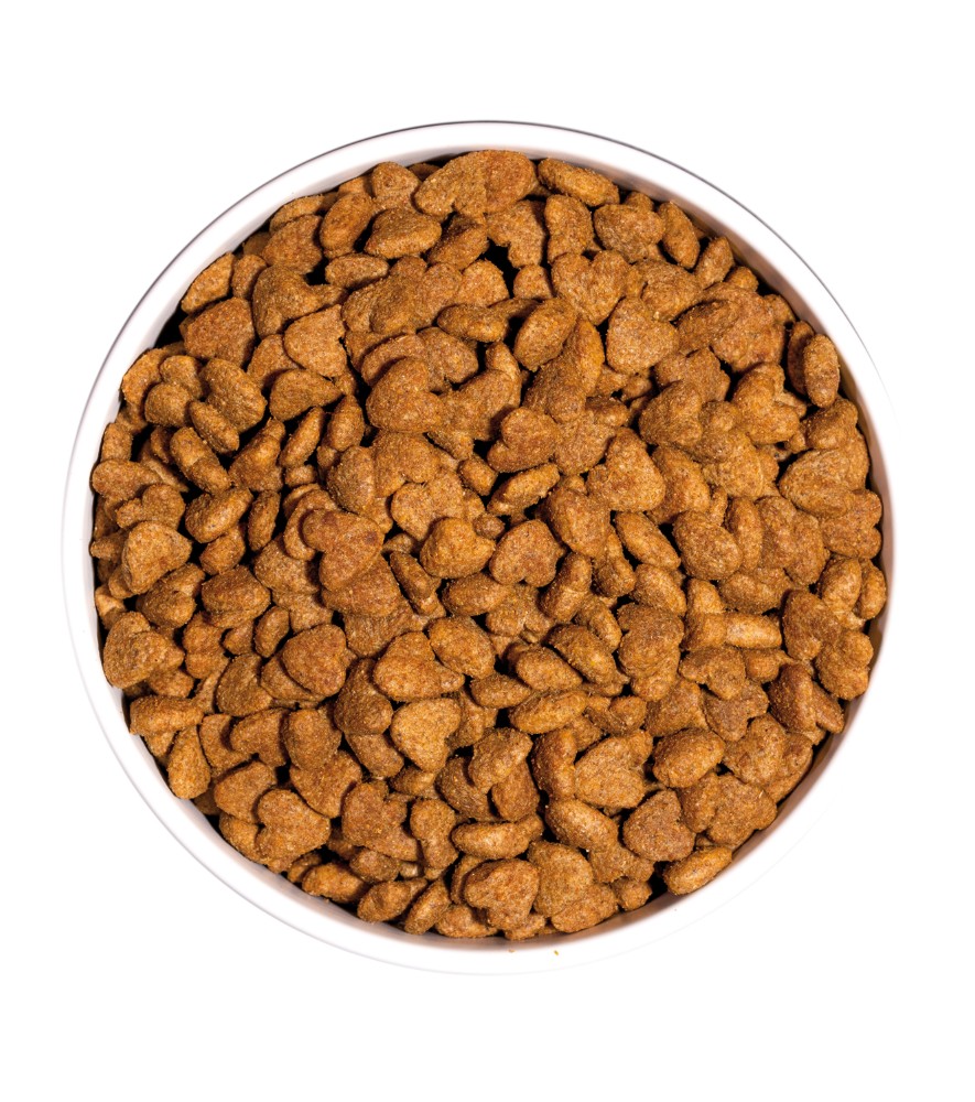 OWNAT CLASSIC LIGHT CAT